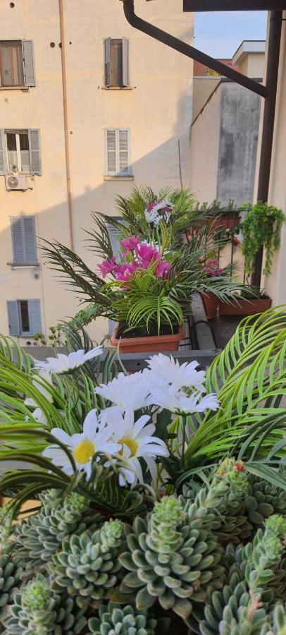 B&B Milano Center Porta Romana Dış mekan fotoğraf